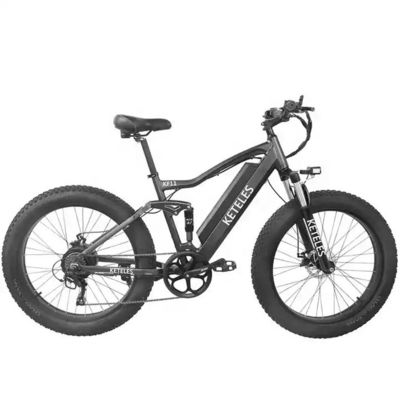 48V 250W Motor Electric Mountain Bike dengan baterai lithium 10AH dan baterai terintegrasi