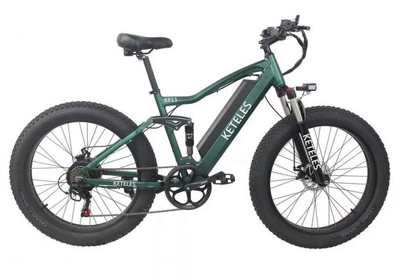 48V 250W Motor Electric Mountain Bike dengan baterai lithium 10AH dan baterai terintegrasi