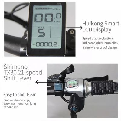 48V 250W Motor Electric Mountain Bike dengan baterai lithium 10AH dan baterai terintegrasi
