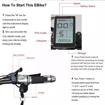 48V 250W Motor Electric Mountain Bike dengan baterai lithium 10AH dan baterai terintegrasi