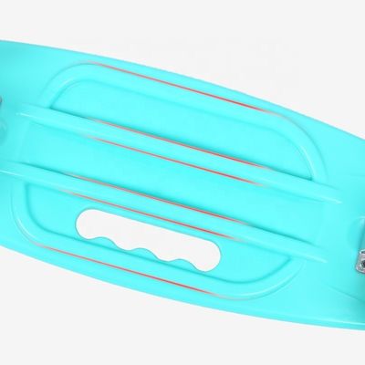 Flat-Plate Handheld Small Fish Board Cetak Skateboard Empat Roda Flash Mobility Scooter Untuk Anak Laki-laki Dan Anak Perempuan