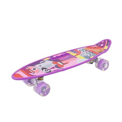 Flat-Plate Handheld Small Fish Board Cetak Skateboard Empat Roda Flash Mobility Scooter Untuk Anak Laki-laki Dan Anak Perempuan