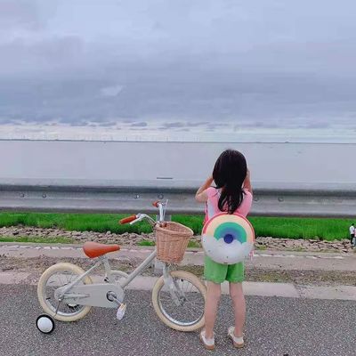 Alloy Rim INS Style 16 Inch Retro Sepeda Anak Single Speed untuk Anak Usia 4-8 Tahun