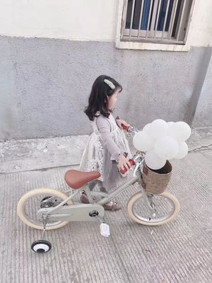 Alloy Rim INS Style 16 Inch Retro Sepeda Anak Single Speed untuk Anak Usia 4-8 Tahun