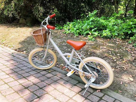 Alloy Rim INS Style 16 Inch Retro Sepeda Anak Single Speed untuk Anak Usia 4-8 Tahun