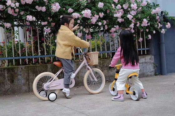 Alloy Rim INS Style 16 Inch Retro Sepeda Anak Single Speed untuk Anak Usia 4-8 Tahun
